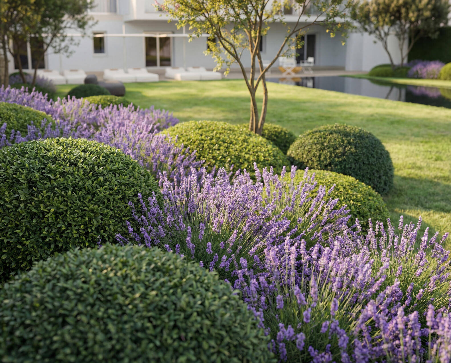 VILLA TITA, Dentice & Partners